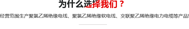 我們的優(yōu)勢